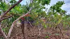 Foto 6 de Lote/Terreno à venda, 1000m² em Setor Habitacional Tororo, Brasília