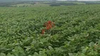 Foto 8 de Lote/Terreno à venda em , Pires do Rio