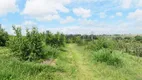 Foto 28 de Fazenda/Sítio com 3 Quartos à venda, 10m² em Macuco, Valinhos