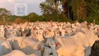 Foto 6 de Fazenda/Sítio à venda, 250000000m² em Zona Rural, Araxá