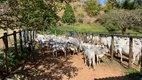 Foto 15 de Fazenda/Sítio com 4 Quartos à venda, 2110000m² em Nossa Senhora da Aparecida, Sapucaia