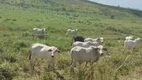 Foto 31 de Fazenda/Sítio com 2 Quartos à venda, 1m² em URURAI, Campos dos Goytacazes