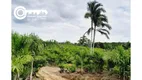 Foto 7 de Fazenda/Sítio à venda, 968000m² em Zona Rural, Pariquera-Açu