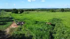 Foto 10 de Fazenda/Sítio com 4 Quartos à venda, 1110000m² em Centro, Água Branca