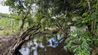 Foto 25 de Fazenda/Sítio à venda, 15000m² em Zona Rural, Ceará Mirim