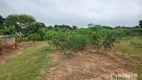 Foto 33 de Fazenda/Sítio com 3 Quartos à venda, 5000m² em , Uniflor