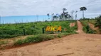 Foto 43 de Fazenda/Sítio à venda, 39860000m² em Vista Alegre do Abuna, Porto Velho