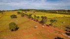 Foto 39 de Fazenda/Sítio com 3 Quartos à venda, 600m² em Zona Rural, Luziânia