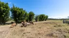 Foto 16 de Fazenda/Sítio à venda, 154999m² em Serraria, Porto Alegre