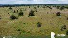 Foto 4 de Fazenda/Sítio à venda, 800m² em Zona Rural, Santa Rita do Tocantins