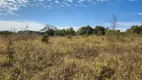 Foto 33 de Fazenda/Sítio com 3 Quartos à venda, 192000m² em Centro, Hidrolândia