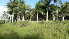 Foto 14 de Fazenda/Sítio à venda, 290400m² em , Registro