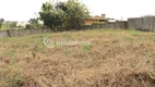 Foto 15 de Lote/Terreno à venda, 900m² em Belvedere, Belo Horizonte