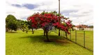 Foto 20 de Casa com 2 Quartos à venda, 147m² em Setor Habitacional Jardim Botânico, Brasília