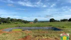 Foto 11 de Fazenda/Sítio com 2 Quartos à venda, 120m² em Zona Rural, Anápolis