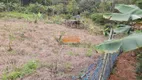 Foto 37 de Fazenda/Sítio com 4 Quartos à venda, 30000m² em Zona Rural, Santa Leopoldina