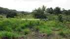 Foto 22 de Fazenda/Sítio com 5 Quartos à venda, 380000m² em Japuíba, Cachoeiras de Macacu