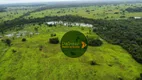 Foto 6 de Fazenda/Sítio com 2 Quartos à venda, 7970000m² em , Novo Planalto