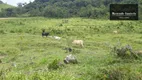 Foto 10 de Fazenda/Sítio à venda, 145200m² em Paiol de Baixo, Campina Grande do Sul