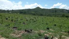 Foto 2 de Fazenda/Sítio à venda em Zona Rural, Uruana