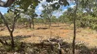 Foto 7 de Fazenda/Sítio com 1 Quarto à venda, 5500m² em Quinta dos Sonhos, Abadia de Goiás