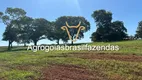 Foto 16 de Fazenda/Sítio à venda em Setor Central, Nerópolis