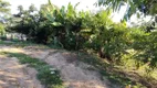 Foto 19 de Fazenda/Sítio com 3 Quartos à venda, 100m² em Zona Rural, Bofete