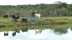 Foto 37 de Fazenda/Sítio com 4 Quartos à venda, 10m² em Centro, Silvânia