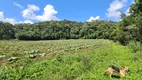 Foto 24 de Fazenda/Sítio com 2 Quartos à venda, 450000m² em Centro, Rio Rufino