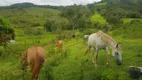 Foto 15 de Fazenda/Sítio com 4 Quartos à venda, 200000m² em Zona Rural, Rio Manso