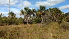 Foto 8 de Fazenda/Sítio com 1 Quarto à venda, 350m² em Centro, Montes Claros