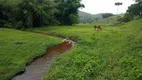 Foto 6 de Fazenda/Sítio com 3 Quartos à venda, 3968000m² em Area Rural de Sao Francisco Xavier, São José dos Campos