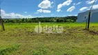 Foto 8 de Lote/Terreno à venda, 275m² em Granja Marileusa , Uberlândia