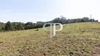 Foto 26 de Lote/Terreno à venda, 5000m² em São Sebastiao, São José dos Pinhais