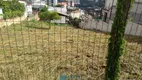 Foto 3 de Lote/Terreno à venda, 338m² em Salgado Filho, Caxias do Sul