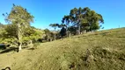 Foto 9 de Fazenda/Sítio com 3 Quartos à venda, 35600m² em Centro, Alfredo Wagner