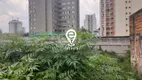 Foto 5 de Lote/Terreno à venda, 551m² em Vila Guarani, São Paulo