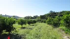 Foto 26 de Fazenda/Sítio com 2 Quartos à venda, 152700m² em Agro Brasil, Cachoeiras de Macacu