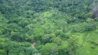 Foto 9 de Fazenda/Sítio à venda, 100000m² em Condusa, Vitória