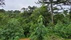 Foto 9 de Fazenda/Sítio à venda, 20000m² em Zona Rural, Campo Alegre