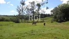 Foto 6 de Fazenda/Sítio com 3 Quartos à venda, 500m² em Maracana, Glorinha