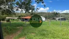 Foto 16 de Fazenda/Sítio à venda, 2420000m² em Zona Rural, Ipameri