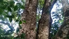 Foto 5 de Lote/Terreno à venda, 100000m² em  Zona Rural, Teresina