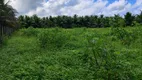 Foto 21 de Fazenda/Sítio com 1 Quarto à venda, 4000m² em Sitio Arena, São José de Mipibu