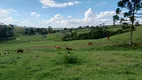 Foto 16 de Fazenda/Sítio com 3 Quartos à venda, 250000m² em Centro, Alfredo Wagner