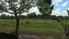 Foto 7 de Fazenda/Sítio com 3 Quartos à venda, 42000m² em Chácaras De Recreio Samambaia, Goiânia