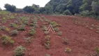 Foto 2 de Fazenda/Sítio à venda, 30000m² em São Cristovão, Passo Fundo