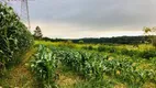 Foto 22 de Fazenda/Sítio com 2 Quartos à venda, 5000m² em Taiacupeba, Mogi das Cruzes