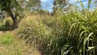 Foto 20 de Fazenda/Sítio com 2 Quartos à venda, 12m² em Zona Rural, Poconé