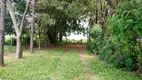 Foto 26 de Fazenda/Sítio com 3 Quartos à venda, 150m² em Rural, Cesário Lange